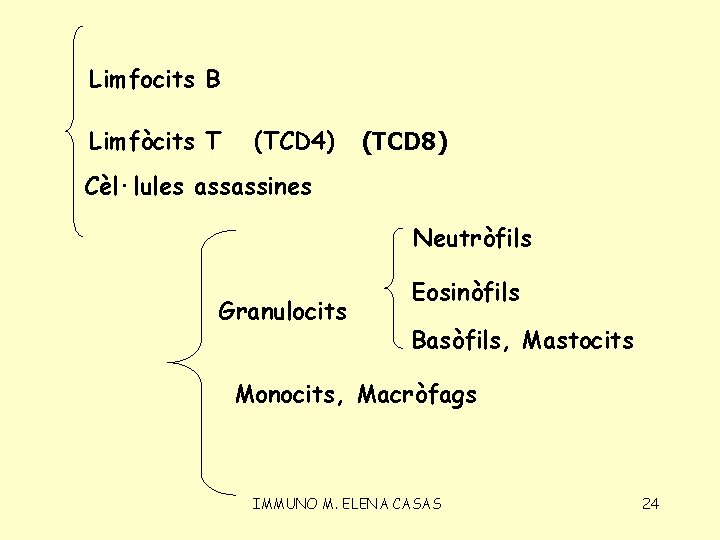 Limfocits B Limfòcits T (TCD 4) (TCD 8) Cèl·lules assassines Neutròfils Granulocits Eosinòfils Basòfils,