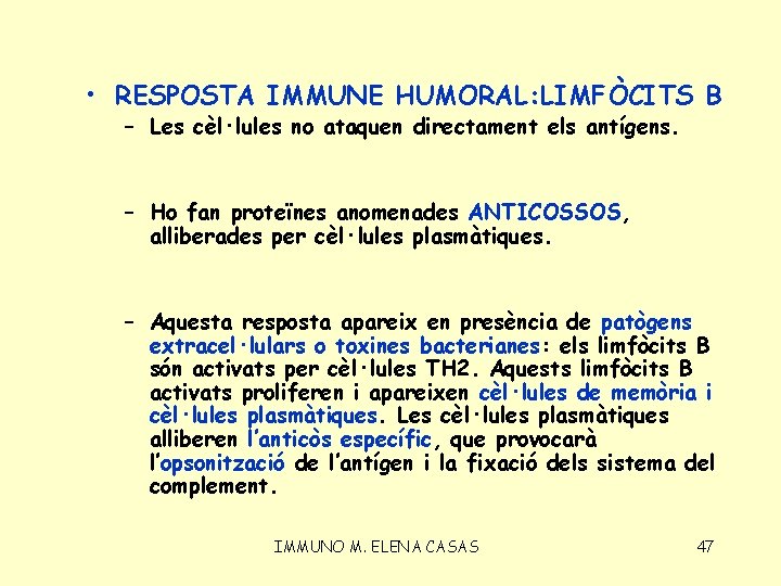  • RESPOSTA IMMUNE HUMORAL: LIMFÒCITS B – Les cèl·lules no ataquen directament els