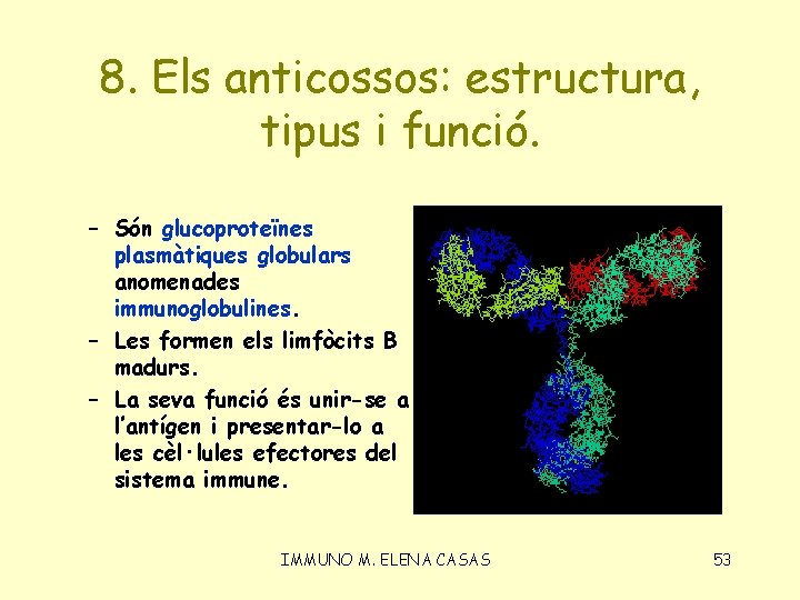 8. Els anticossos: estructura, tipus i funció. – Són glucoproteïnes plasmàtiques globulars anomenades immunoglobulines.