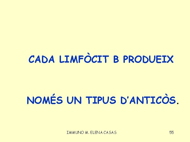 CADA LIMFÒCIT B PRODUEIX NOMÉS UN TIPUS D’ANTICÒS. IMMUNO M. ELENA CASAS 55 