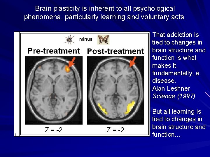 Brain plasticity is inherent to all psychological phenomena, particularly learning and voluntary acts. That