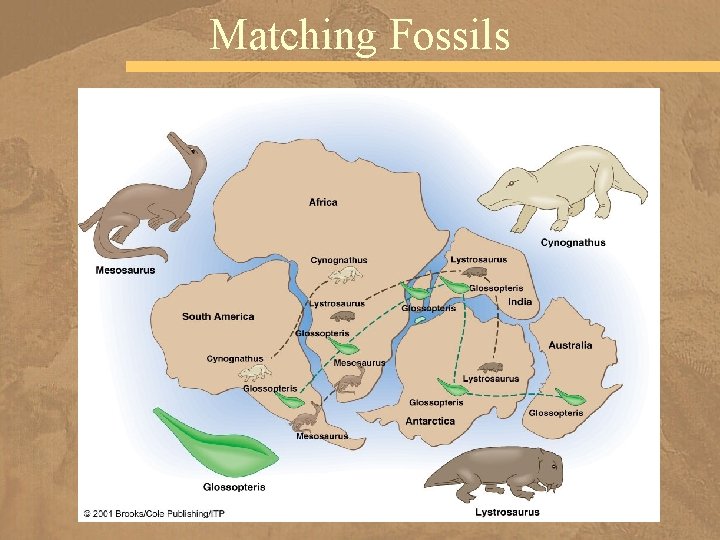 Chapter 3 Plate Tectonics a Unifying Theory Discovering