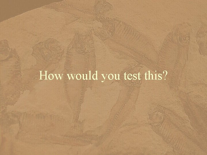 How would you test this? 