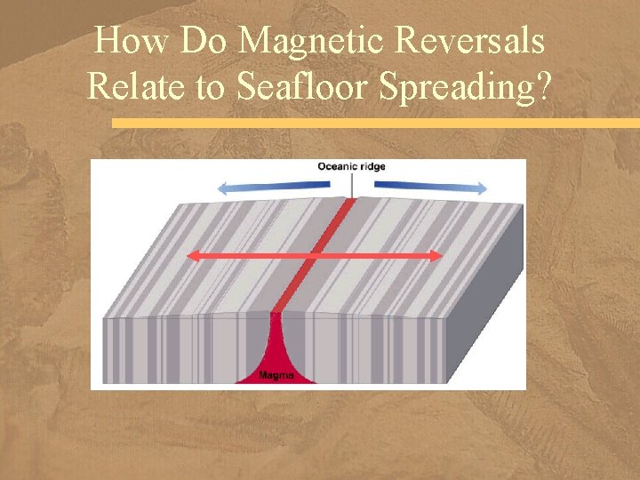 How Do Magnetic Reversals Relate to Seafloor Spreading? 