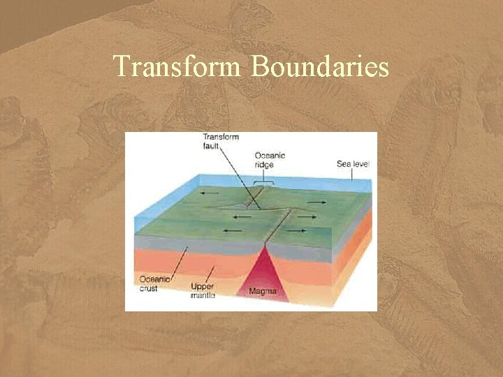 Transform Boundaries 