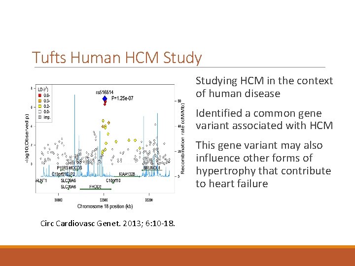 Tufts Human HCM Studying HCM in the context of human disease Identified a common