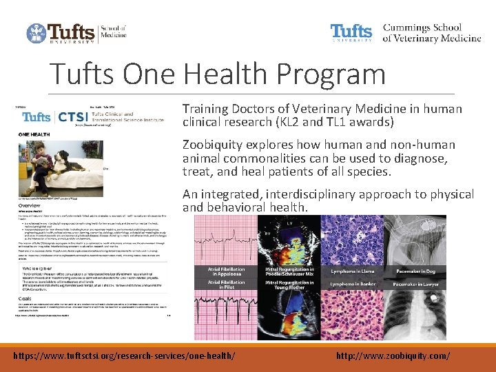 Tufts One Health Program Training Doctors of Veterinary Medicine in human clinical research (KL