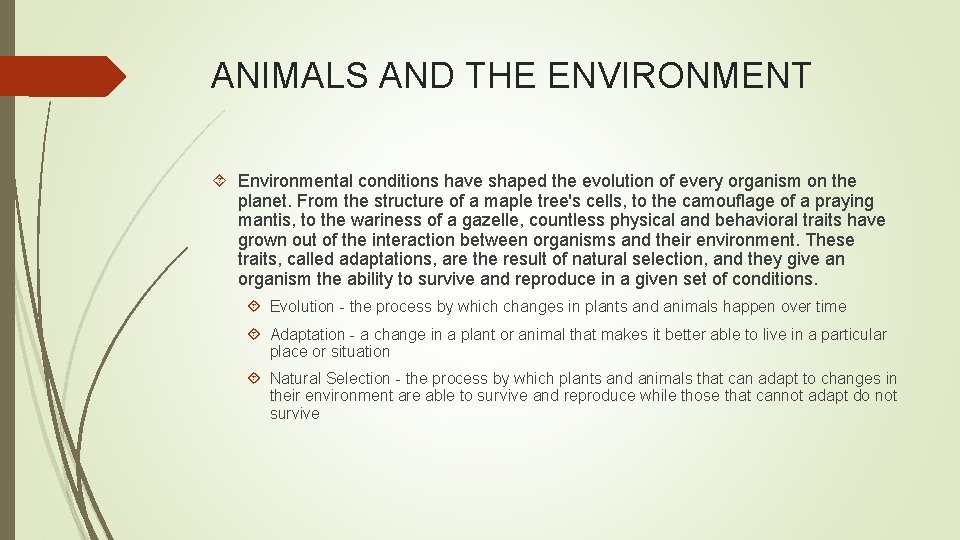 ANIMAL MOUTHPARTS ANIMALS AND THE ENVIRONMENT Environmental conditions