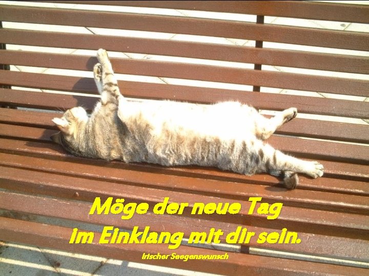 Möge der neue Tag im Einklang mit dir sein. Irischer Seegenswunsch 