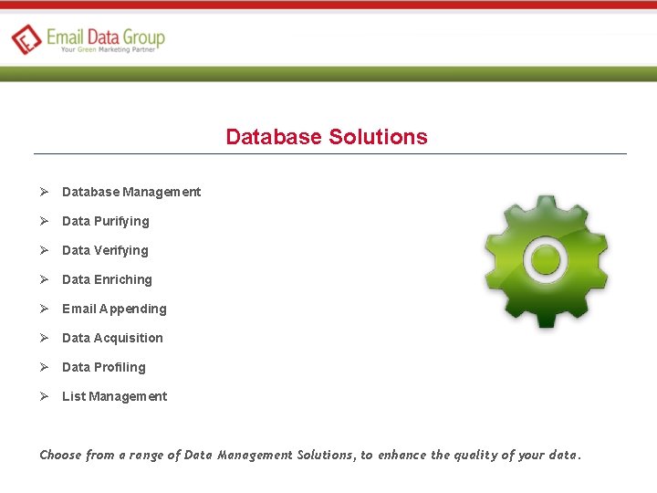 Database Solutions Ø Database Management Ø Data Purifying Ø Data Verifying Ø Data Enriching