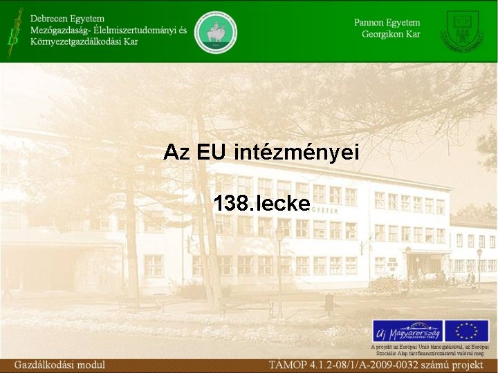 Az EU intézményei 138. lecke 