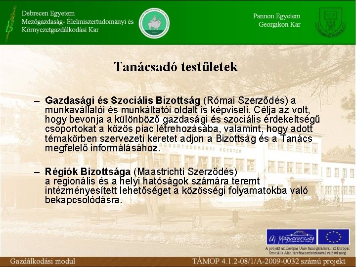 Tanácsadó testületek – Gazdasági és Szociális Bizottság (Római Szerződés) a munkavállalói és munkáltatói oldalt