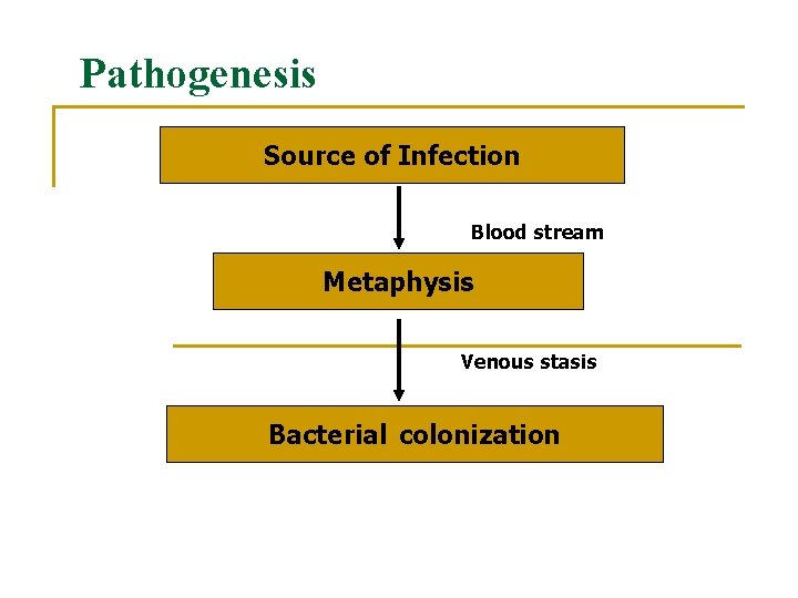 Pathogenesis Source of Infection Blood stream Metaphysis Venous stasis Bacterial colonization 