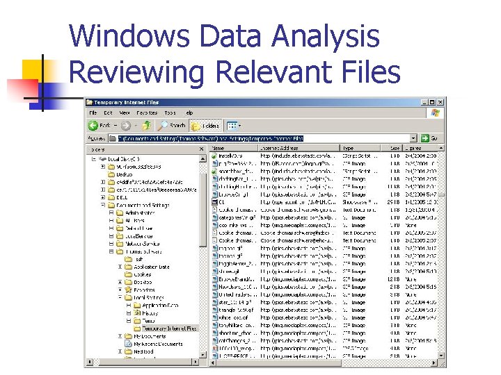 Windows Data Analysis Reviewing Relevant Files 