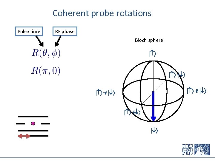 Coherent probe rotations Pulse time RF phase Bloch sphere - +i -i + 