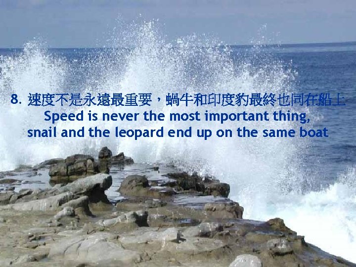 8. 速度不是永遠最重要，蝸牛和印度豹最終也同在船上 Speed is never the most important thing, snail and the leopard end