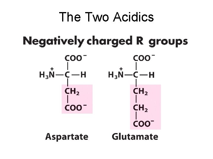 The Two Acidics The Two Acidics