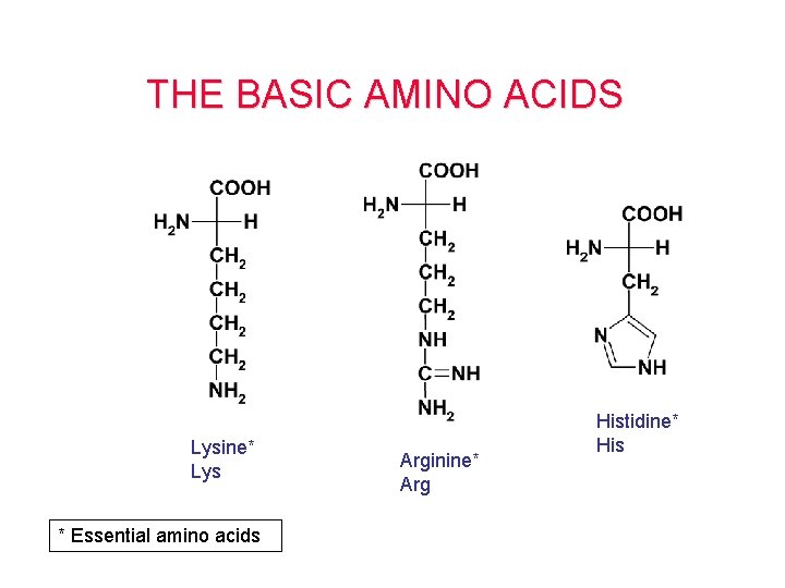 THE BASIC AMINO ACIDS Lysine* Lys * Essential amino acids Arginine* Arg Histidine* His THE BASIC AMINO ACIDS Lysine* Lys * Essential amino acids Arginine* Arg Histidine* His