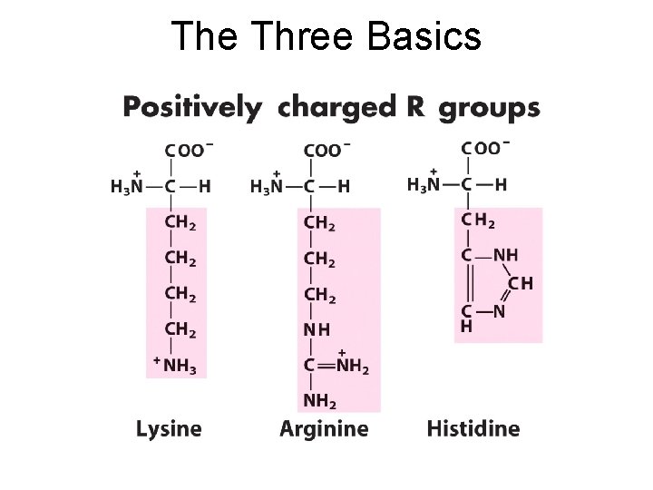 The Three Basics 