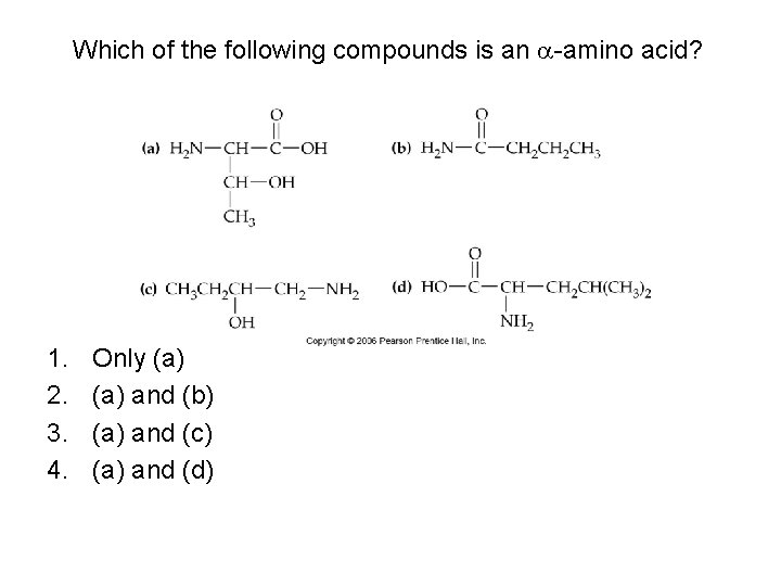 Which of the following compounds is an -amino acid? 1. 2. 3. 4. Only Which of the following compounds is an -amino acid? 1. 2. 3. 4. Only