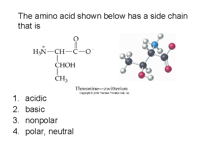 The amino acid shown below has a side chain that is 1. 2. 3. The amino acid shown below has a side chain that is 1. 2. 3.
