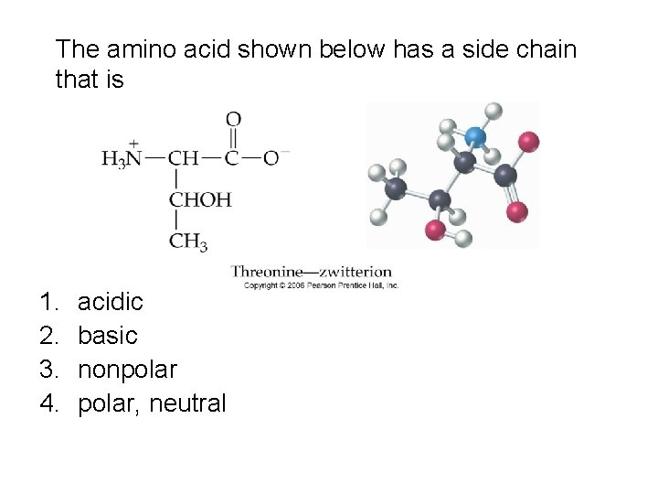 The amino acid shown below has a side chain that is 1. 2. 3.