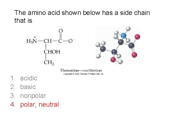 The amino acid shown below has a side chain that is 1. 2. 3.