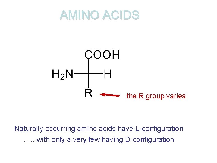 AMINO ACIDS the R group varies Naturally-occurring amino acids have L-configuration …. . with