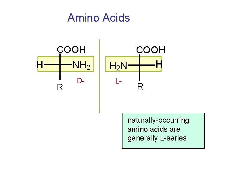 Amino Acids COOH H R COOH NH 2 H 2 N D- L- H Amino Acids COOH H R COOH NH 2 H 2 N D- L- H