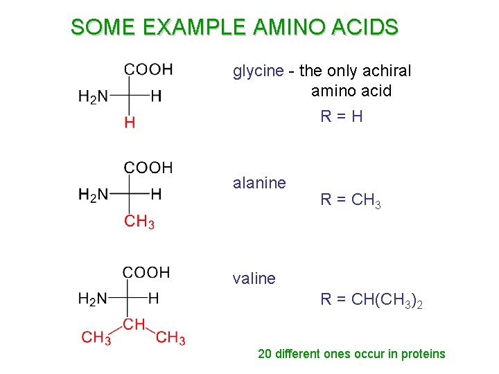 SOME EXAMPLE AMINO ACIDS glycine - the only achiral amino acid R=H alanine R