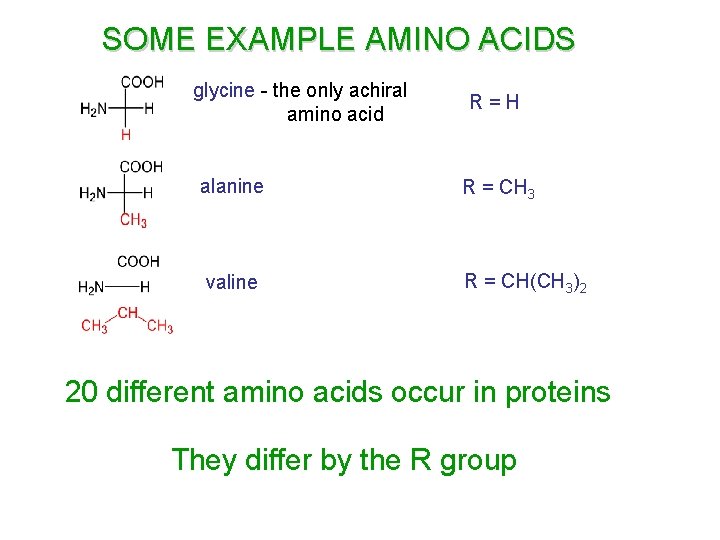 SOME EXAMPLE AMINO ACIDS glycine - the only achiral amino acid R=H alanine R SOME EXAMPLE AMINO ACIDS glycine - the only achiral amino acid R=H alanine R