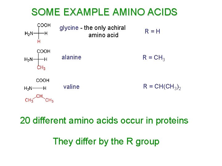 SOME EXAMPLE AMINO ACIDS glycine - the only achiral amino acid R=H alanine R