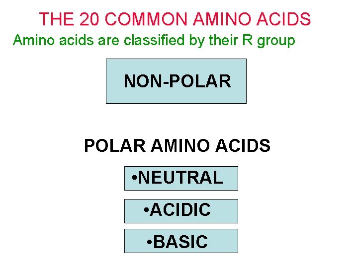 THE 20 COMMON AMINO ACIDS Amino acids are classified by their R group NON-POLAR THE 20 COMMON AMINO ACIDS Amino acids are classified by their R group NON-POLAR
