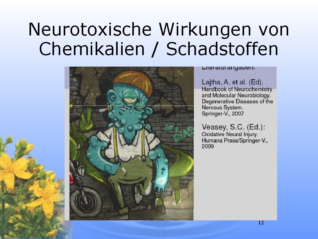 Neurotoxische Wirkungen von Chemikalien / Schadstoffen 12 