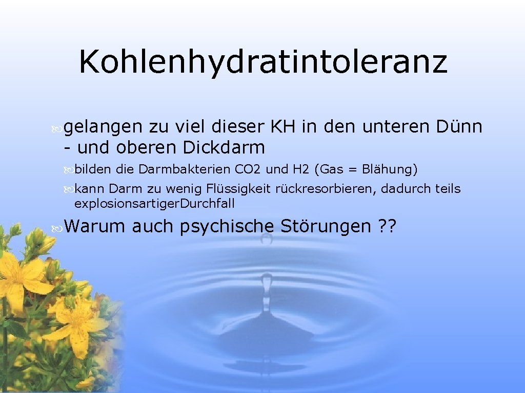 Kohlenhydratintoleranz gelangen zu viel dieser KH in den unteren Dünn - und oberen Dickdarm