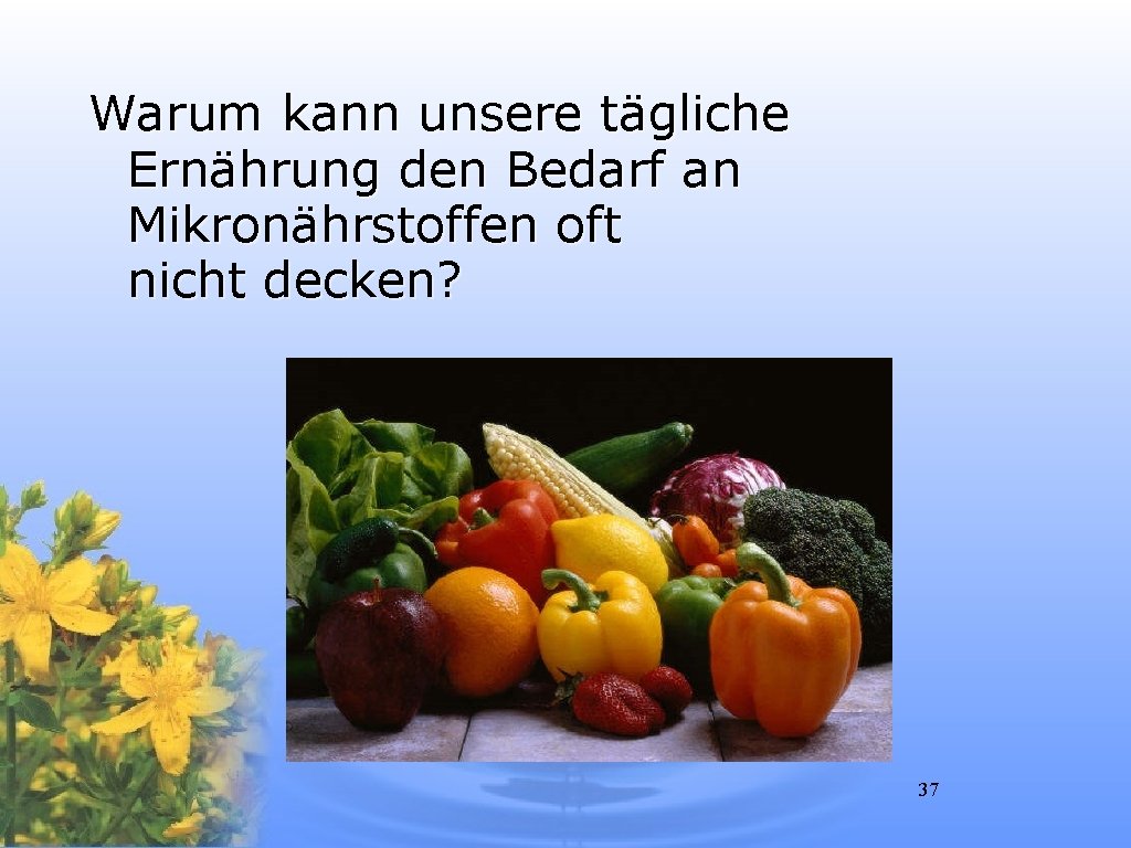 Warum kann unsere tägliche Ernährung den Bedarf an Mikronährstoffen oft nicht decken? 37 