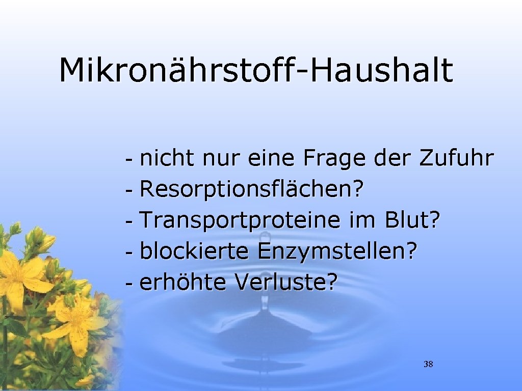 Mikronährstoff-Haushalt - nicht nur eine Frage der Zufuhr - Resorptionsflächen? - Transportproteine im Blut?