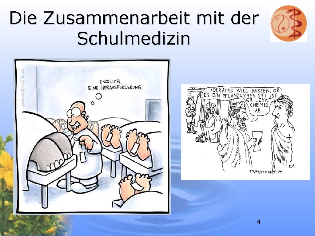 Die Zusammenarbeit mit der Schulmedizin 4 