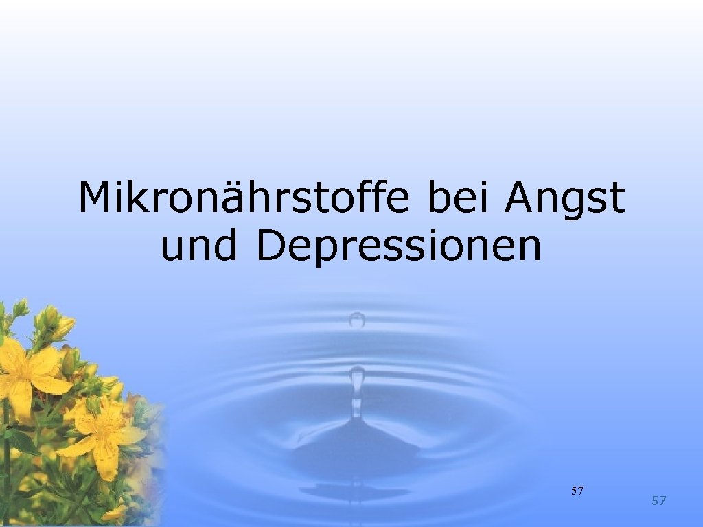 Mikronährstoffe bei Angst und Depressionen 57 57 