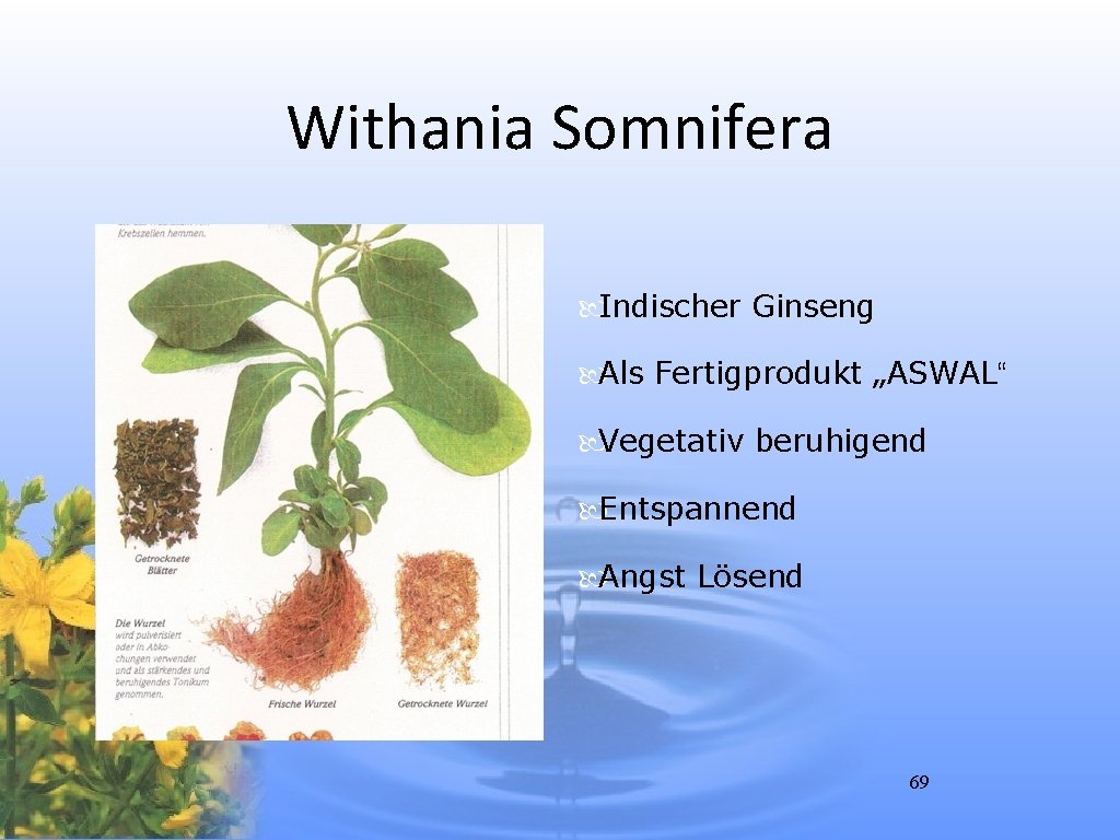 Withania Somnifera Indischer Ginseng Als Fertigprodukt „ASWAL“ Vegetativ beruhigend Entspannend Angst Lösend 69 