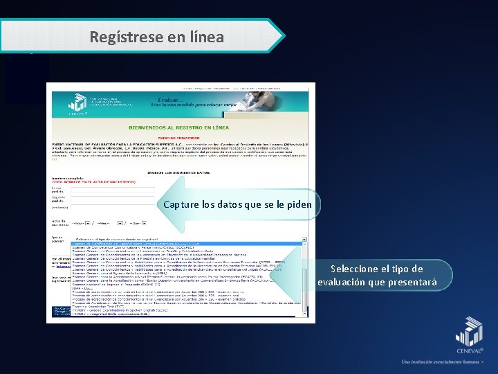 Regístrese en línea Capture los datos que se le piden Seleccione el tipo de
