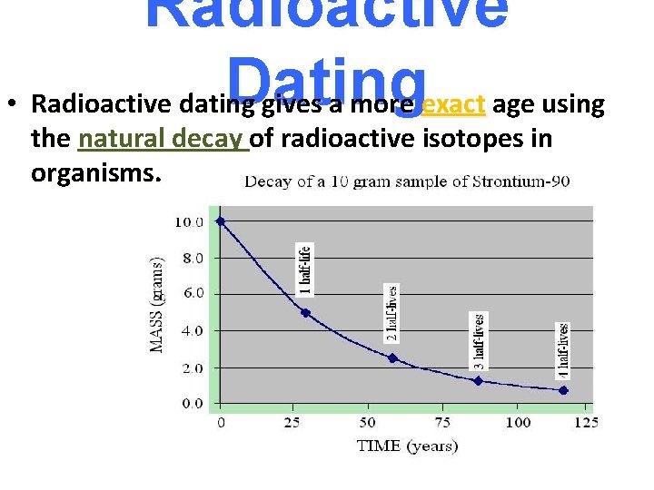 Radioactive Dating • Radioactive dating gives a more exact age using the natural decay