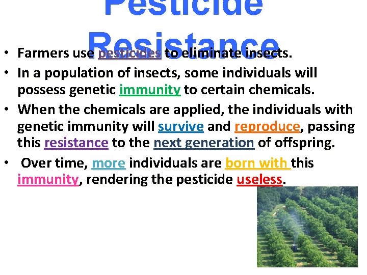 Pesticide • Farmers use pesticides to eliminate insects. Resistance • In a population of