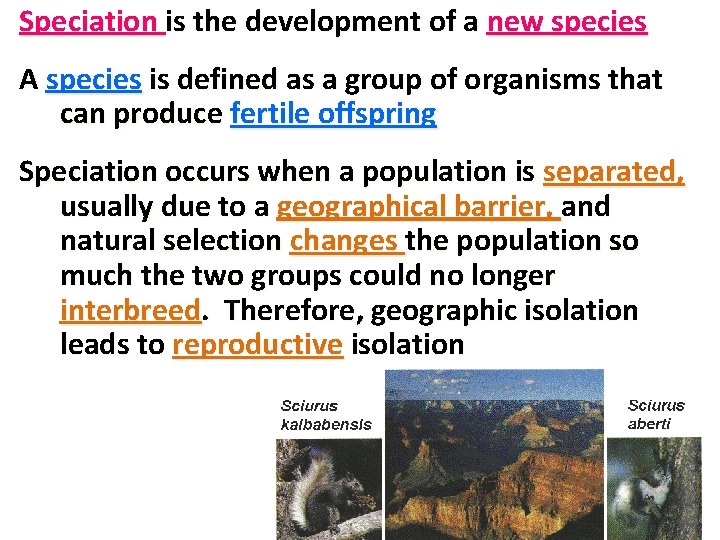 Speciation is the development of a new species A species is defined as a