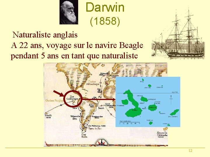 Darwin (1858) Naturaliste anglais A 22 ans, voyage sur le navire Beagle pendant 5