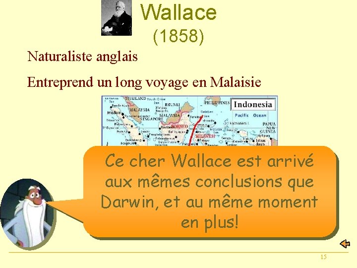 Wallace (1858) Naturaliste anglais Entreprend un long voyage en Malaisie Ce cher Wallace est