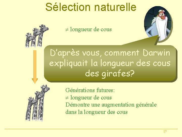 Sélection naturelle longueur de cous D’après vous, comment Darwin Sélection favorise les cous longs: