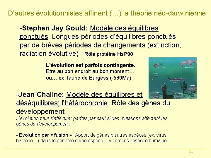 D’autres évolutionnistes affinent (…) la théorie néo-darwinienne -Stephen Jay Gould: Modèle des équilibres ponctués: