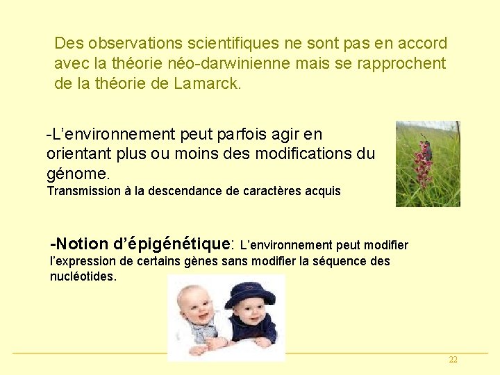 Des observations scientifiques ne sont pas en accord avec la théorie néo-darwinienne mais se