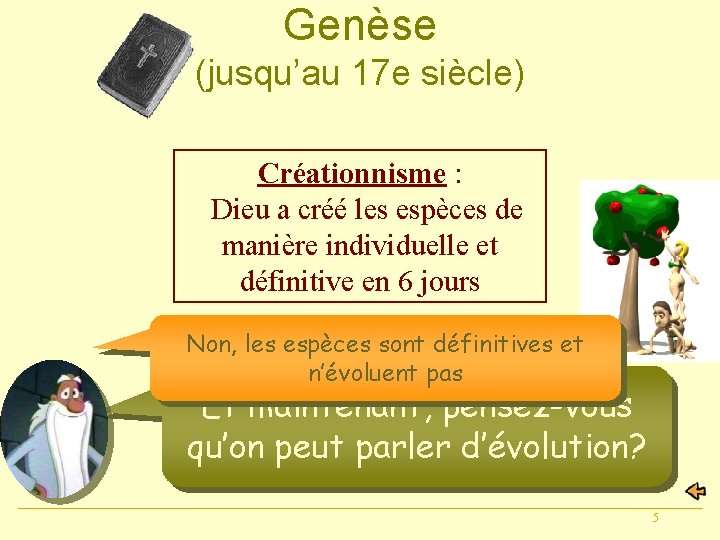 Genèse (jusqu’au 17 e siècle) Créationnisme : Dieu a créé les espèces de manière